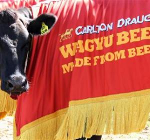 Try_your_luck_on_Carlton_Draught’s_Massive_Meat_Wheel