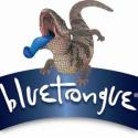 Job_Vacancy_–_Bluetongue_Brewery