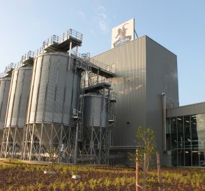 BLUETONGUE_BREWERY_CELEBRATES_ITS_FIRST_BIRTHDAY_WITH_60_MILLION_BOTTLES_