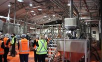The_Perfect_Lager_Project_Launches
