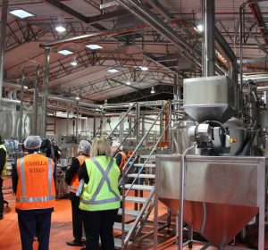 The_Perfect_Lager_Project_Launches