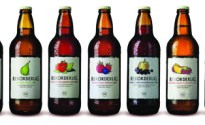 Coca_Cola_Amatil_Scores_Exclusive_Rekorderlig_Contract