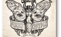 Mash_Collective’s_(NSW)_Second_Brew