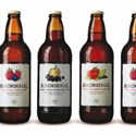 Rekorderlig celebrates partnership with cca