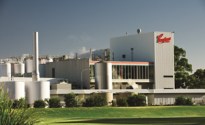 Coopers sales reach record levels