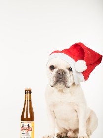 A beer for the dogs