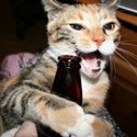 Best beer names from around the world