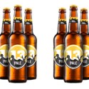MALT FICTION LAUNCHES 13 BEER