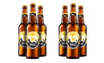 MALT FICTION LAUNCHES 13 BEER