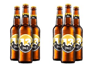 TOP 9 PIZZA AND CRAFT BEER MATCHES