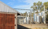 YOUNG HENRYS CONTINUES TO EXPAND