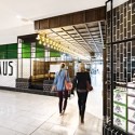 EXCLUSIVE BEERS ON TAP AT HOPHAUS