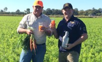 IT’S WABBIT SAISON IN QUEENSLAND