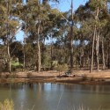 40 ACRES BREWING