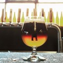 BATCH AND NEW ENGLAND’S CHOC CHILLI BLACK & GOLD COLLAB
