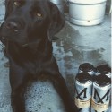 MODUS RELEASES FIRST SEASONAL IN 500ML CANS
