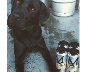 MODUS RELEASES FIRST SEASONAL IN 500ML CANS