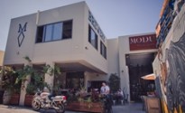 Modus Loyalty Lies In Cans