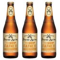 The Institute of Beer opens its doors