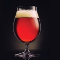 The Institute of Beer opens its doors