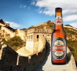 50 years not out: Asahi celebrates Master Brewer Dermot O’Donnell
