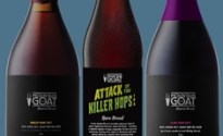 BUSY BREWING AT GOAT