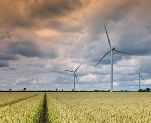 AB InBev commits to reducing carbon footprint