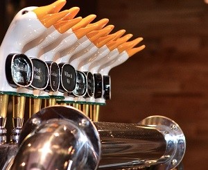 FREE BEER: A Wild Goose Chase is on