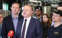 Anthony Albanese continues craft beer fight