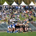 Huon Valley Mid-Winter Festival kicks off this weekend