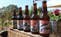 Feral still hopeful of IBA membership