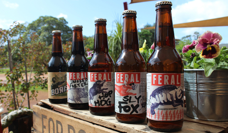 Feral