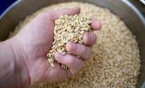 Cryer Malt acquired