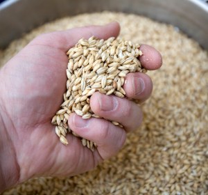 Cryer Malt acquired