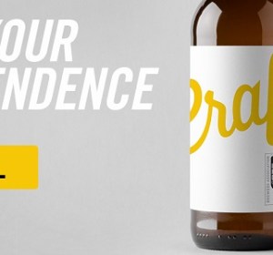 Beer & Brewer Summer Issue out now
