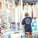 Horse training facility repurposed as brewery