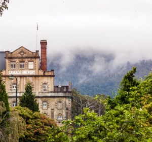CUB announces crafty plans for Cascade brewery