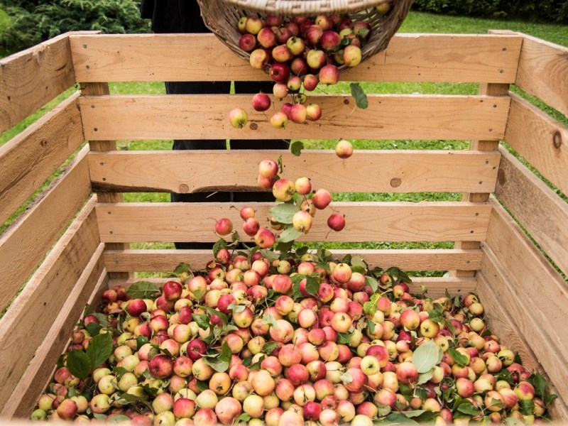 Australian Cider Awards 2019