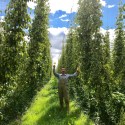 Entries open for 2018 Independent Beer Awards