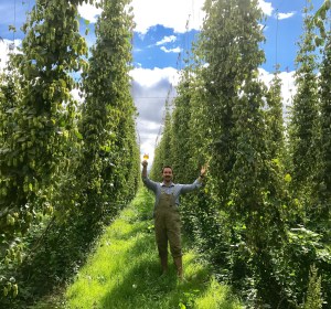 Fresh Harvest Beer Festival to use ‘wet’ hops