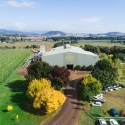 Hop Products Australia releases 2018 Crop Report