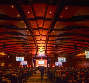 Three Aussie medals at World Beer Cup