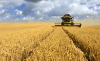 Australian barley growers unlock new market opportunities