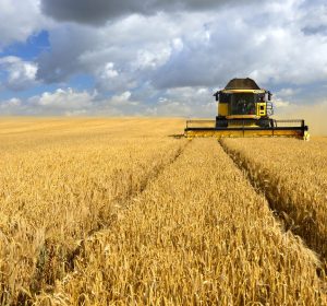 New accreditation for Australian barley