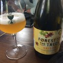 Introducing Forest for the Trees