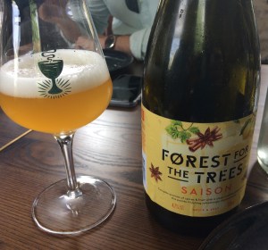 Introducing Forest for the Trees