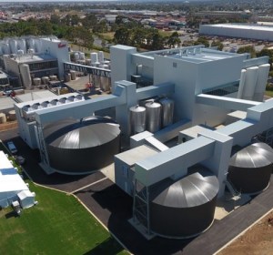 Coopers maltings enjoying strong start