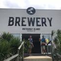 Growing hops in Queensland