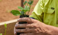 Hop Products Australia reports solid growth