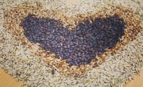 Gladfield Malt – The World’s Best Pure Malt